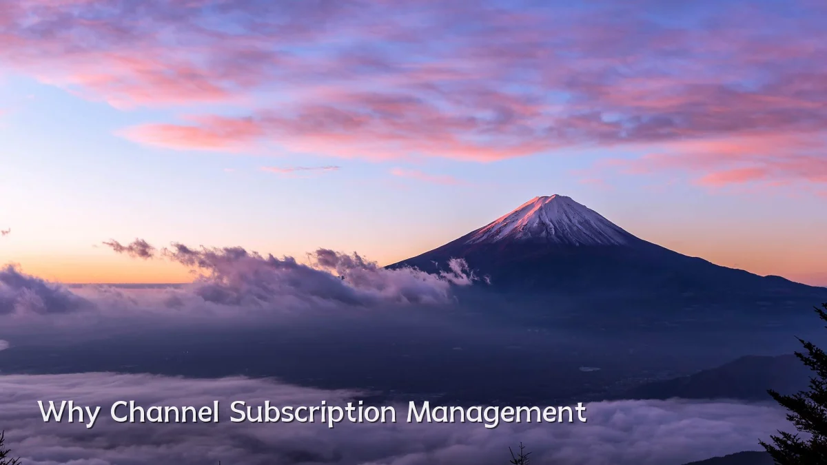 Why Channel Subscription Management