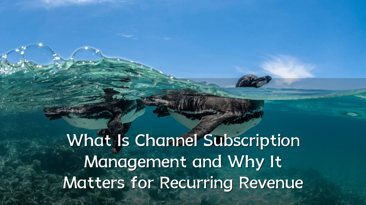 What Is Channel Subscription Management and Why It Matters for Recurring Revenue
