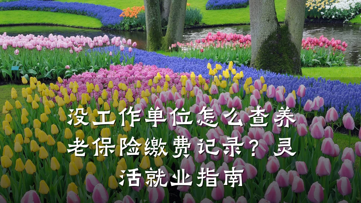没工作单位怎么查养老保险缴费记录？灵活就业指南