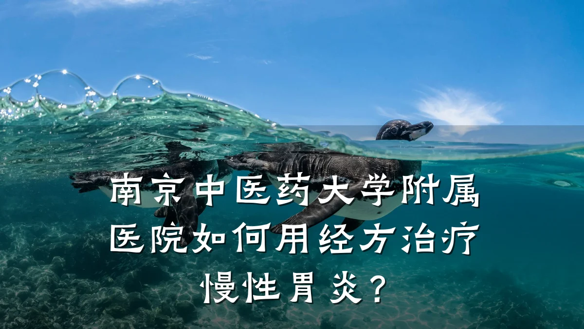 南京中医药大学附属医院如何用经方治疗慢性胃炎？