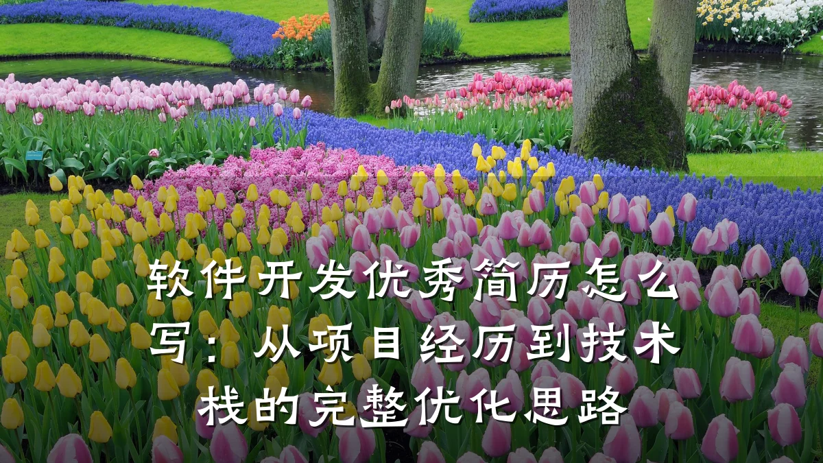 软件开发优秀简历怎么写：从项目经历到技术栈的完整优化思路