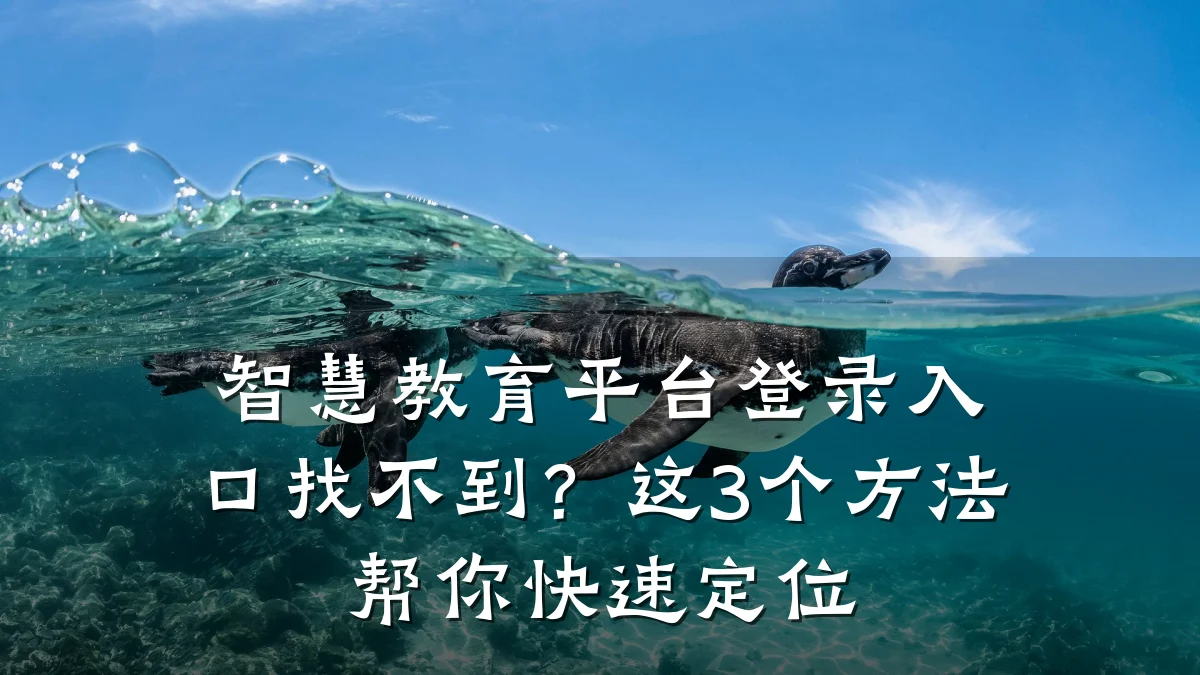 智慧教育平台登录入口找不到？这3个方法帮你快速定位