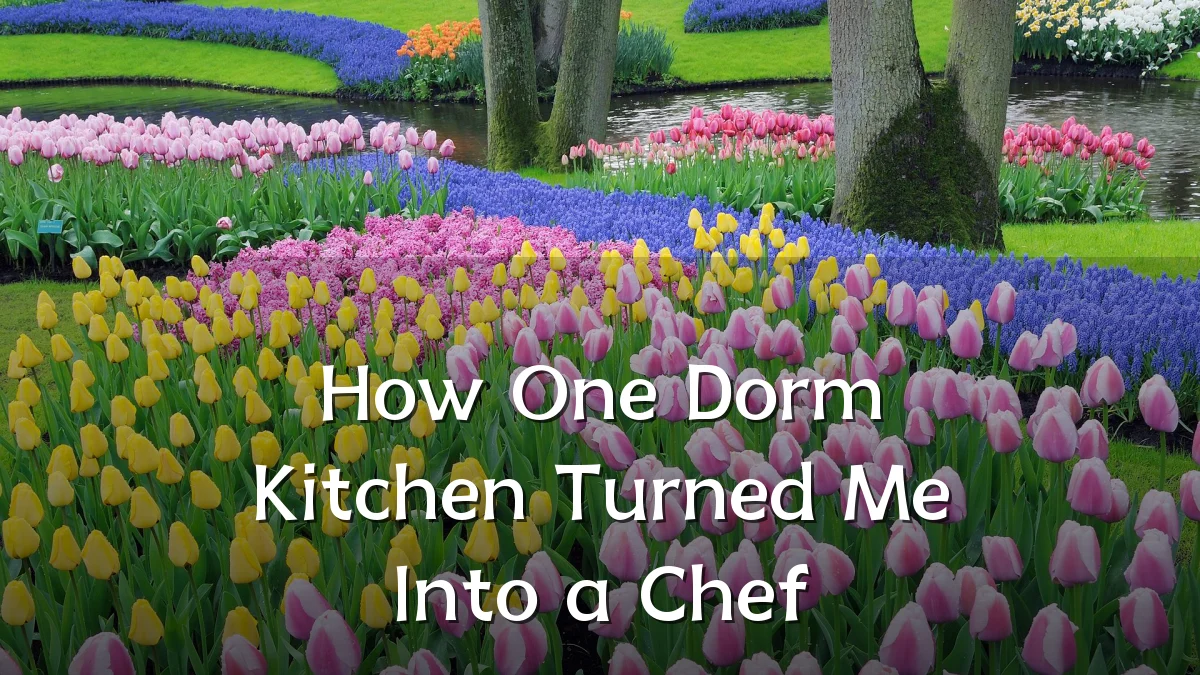 How One Dorm Kitchen Turned Me Into a Chef