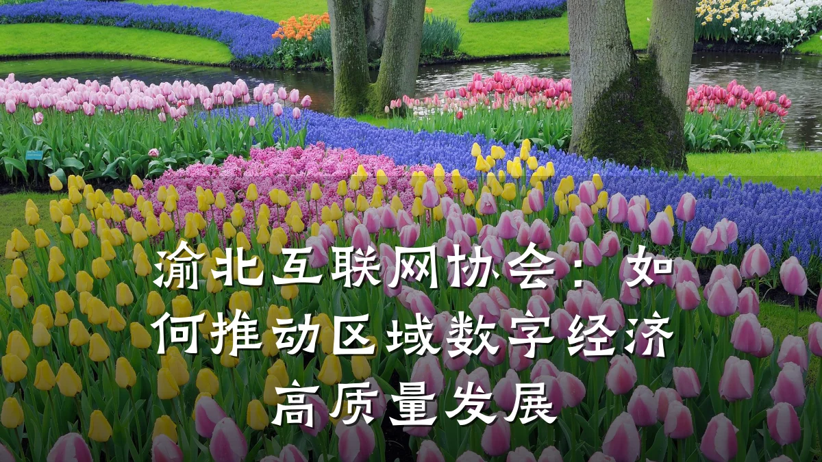 渝北互联网协会:如何推动区域数字经济高质量发展