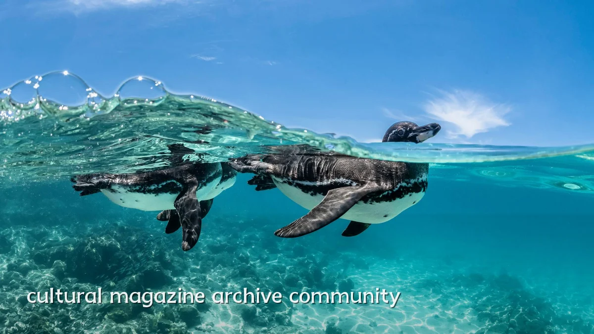 cultural magazine archive community