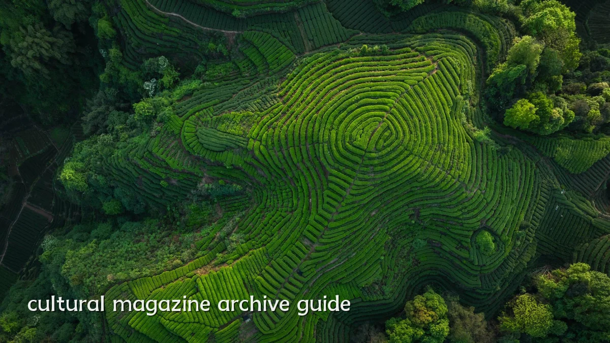 cultural magazine archive guide