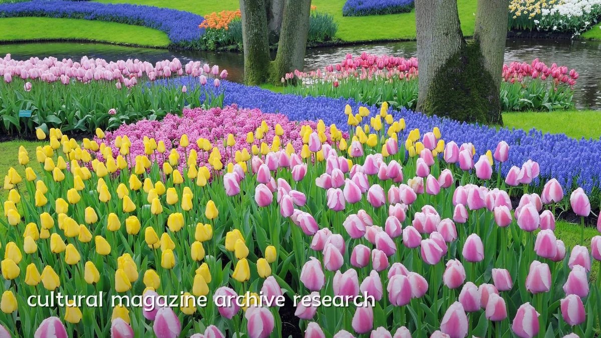cultural magazine archive research