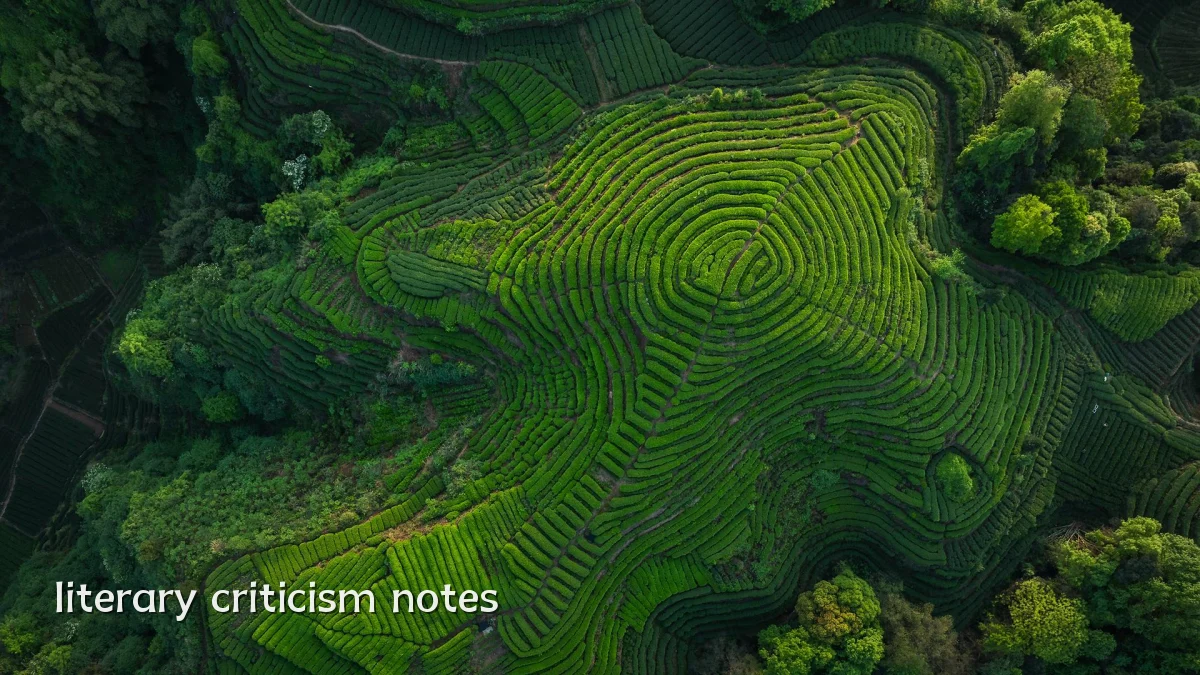 literary criticism notes