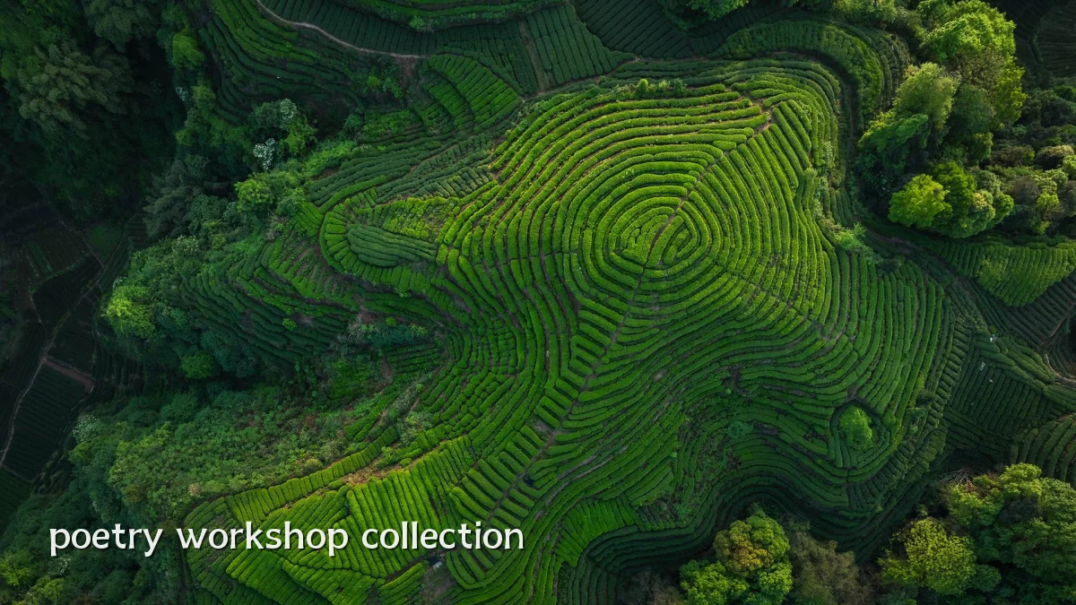 poetry workshop collection