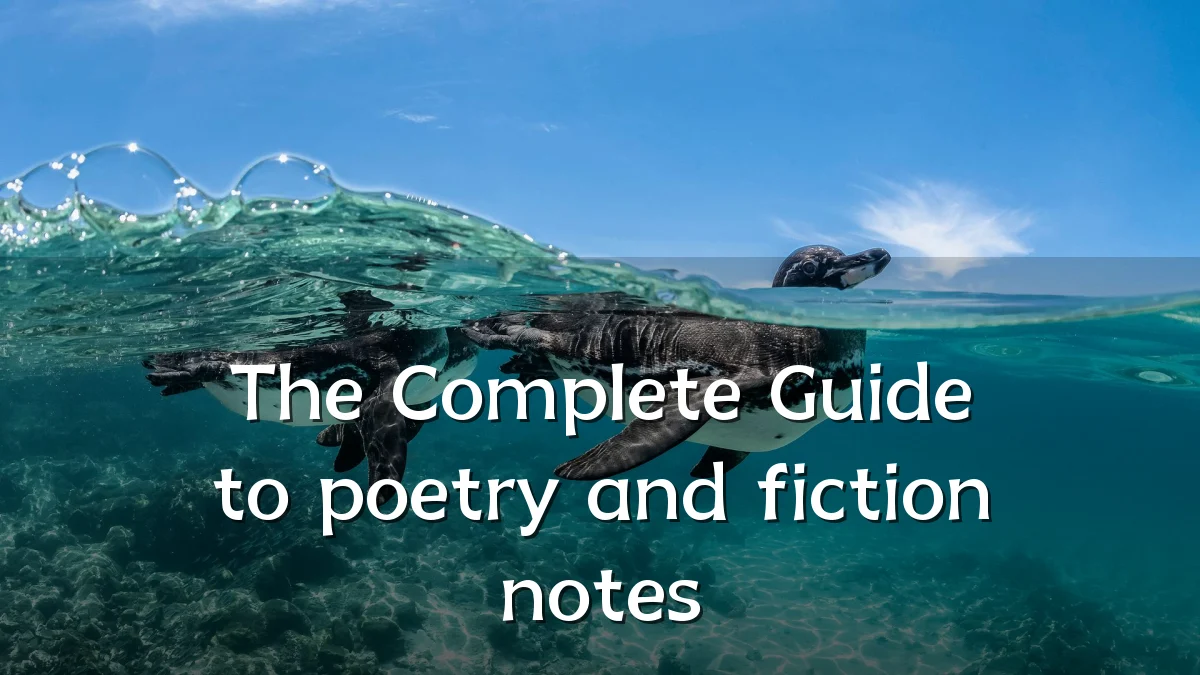 The Complete Guide to poetry and fiction notes