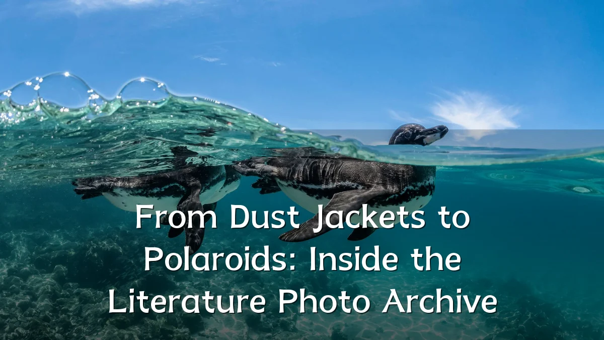 From Dust Jackets to Polaroids: Inside the Literature Photo Archive