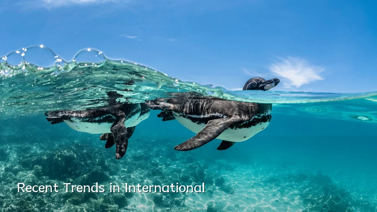 Recent Trends in International