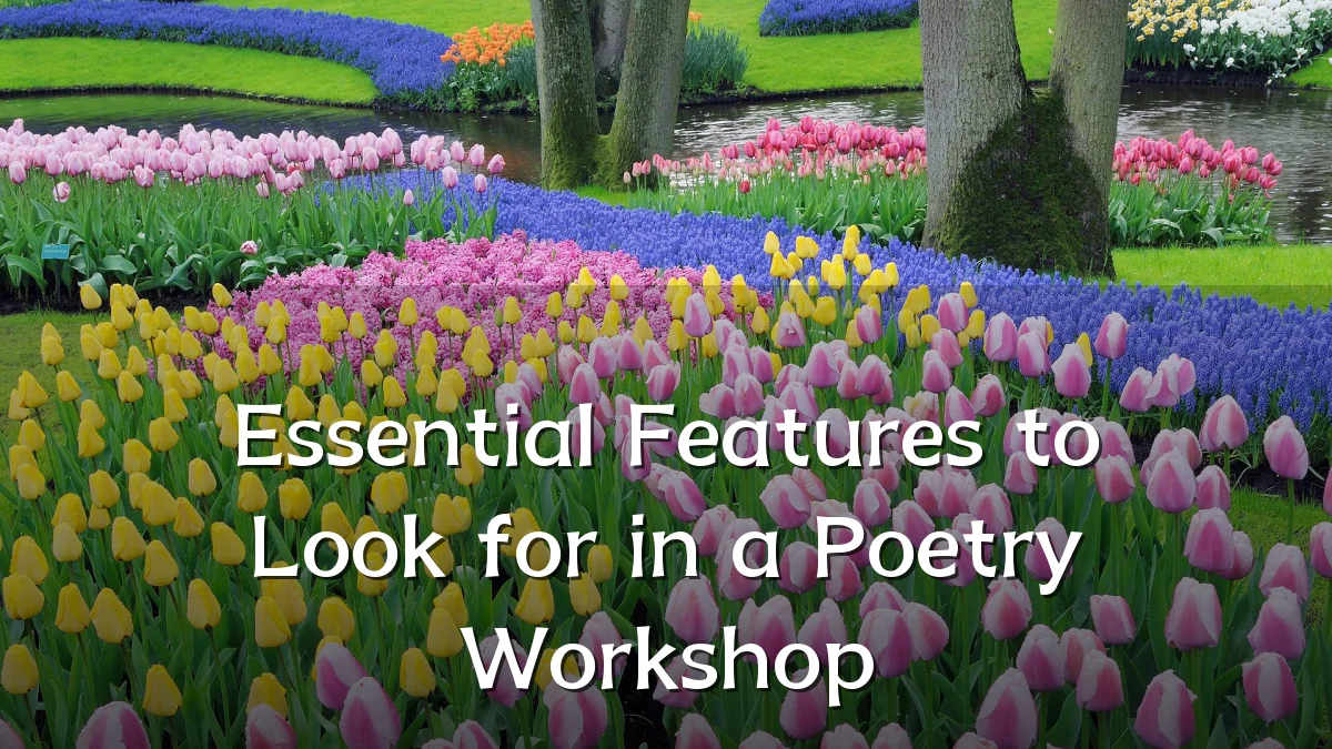 Essential Features to Look for in a Poetry Workshop