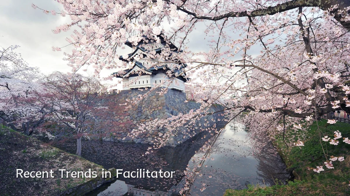 Recent Trends in Facilitator