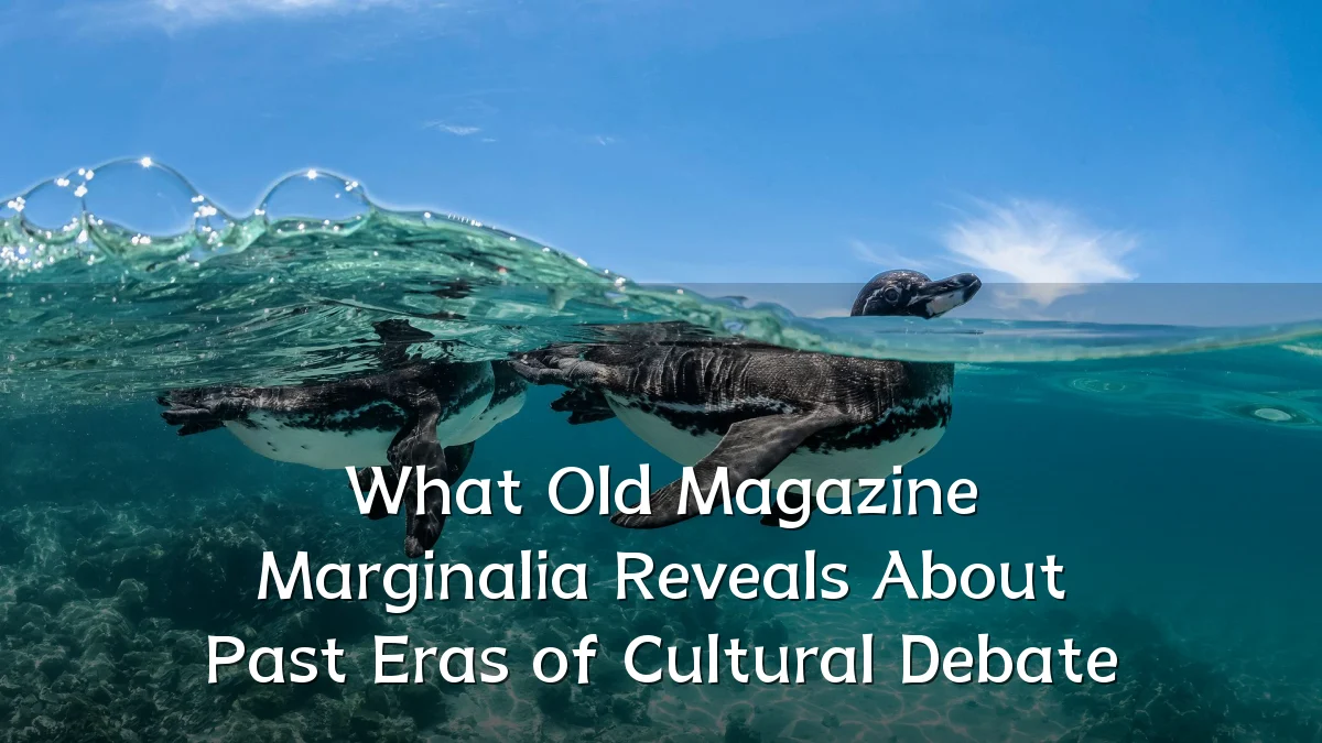 What Old Magazine Marginalia Reveals About Past Eras of Cultural Debate